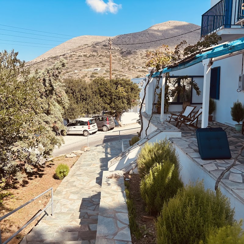 Loukia Taverna, Kini