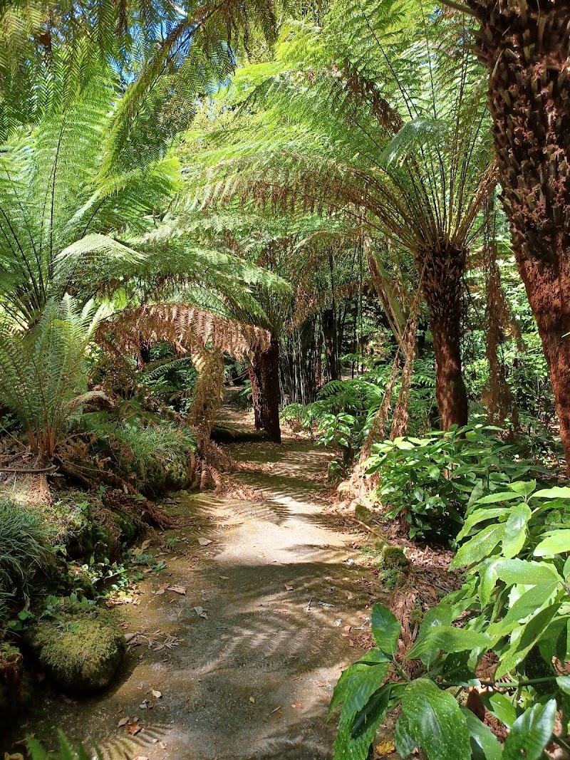 Parque da Pena Forest Trails
