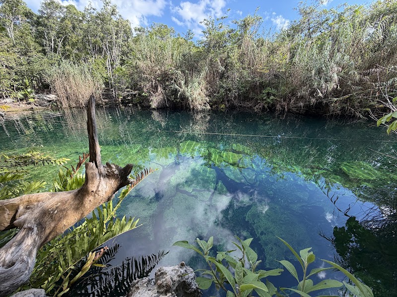 Cenote Cristal