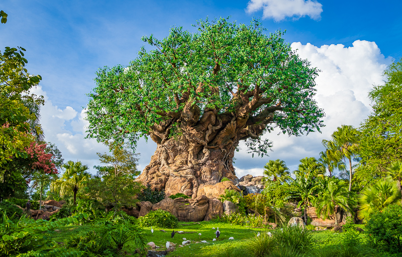 Disney's Animal Kingdom