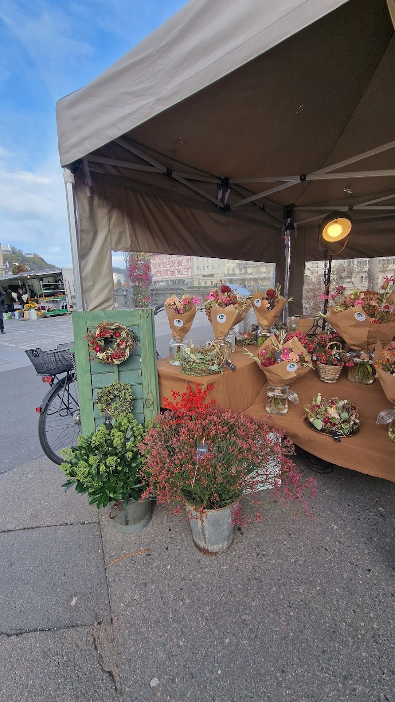 Lucerne Farmers Market at Marktplatz