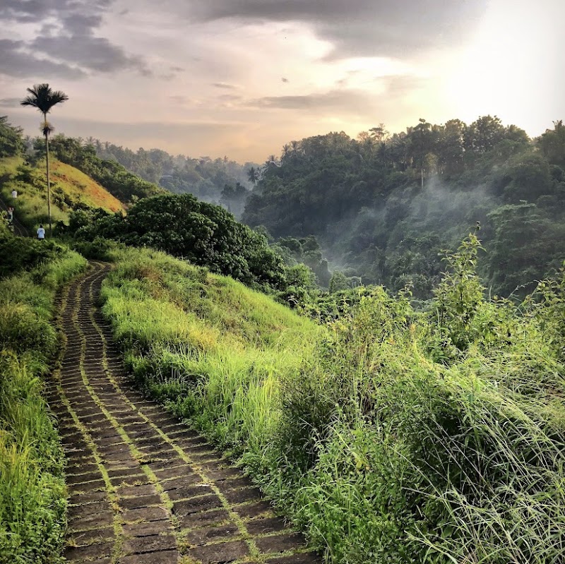 Campuhan Ridge Walk