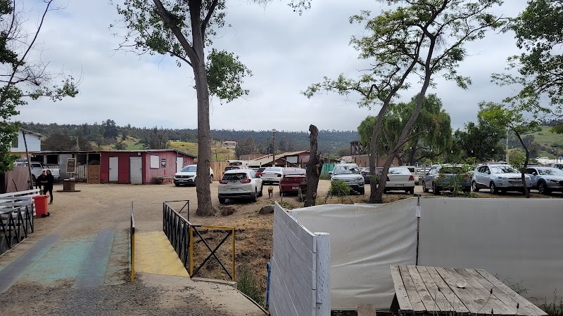 Restaurant El Sauce (Lurín)