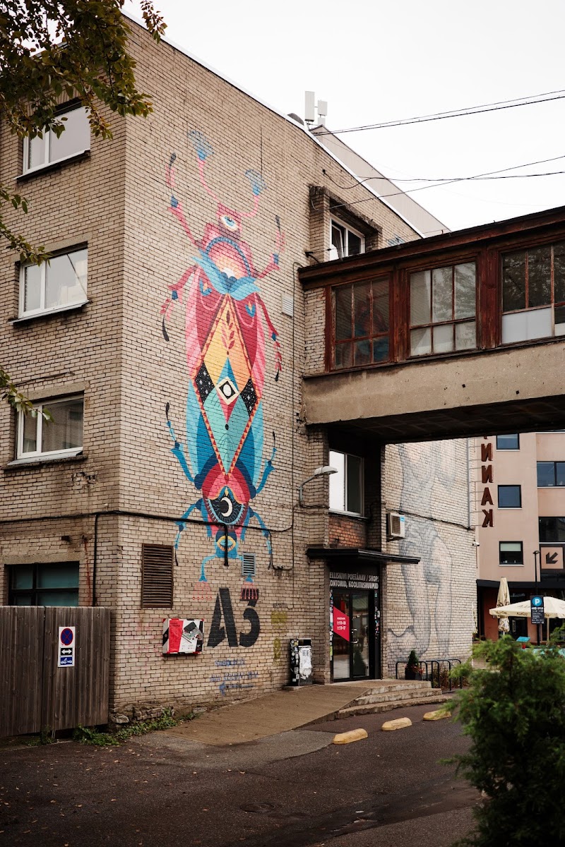 Kalamaja Neighborhood Wander and Street Art
