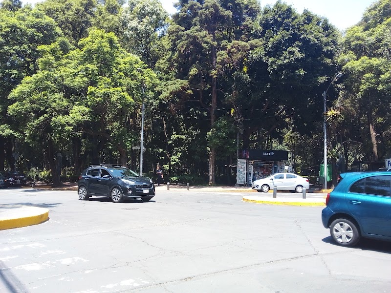 Parque México