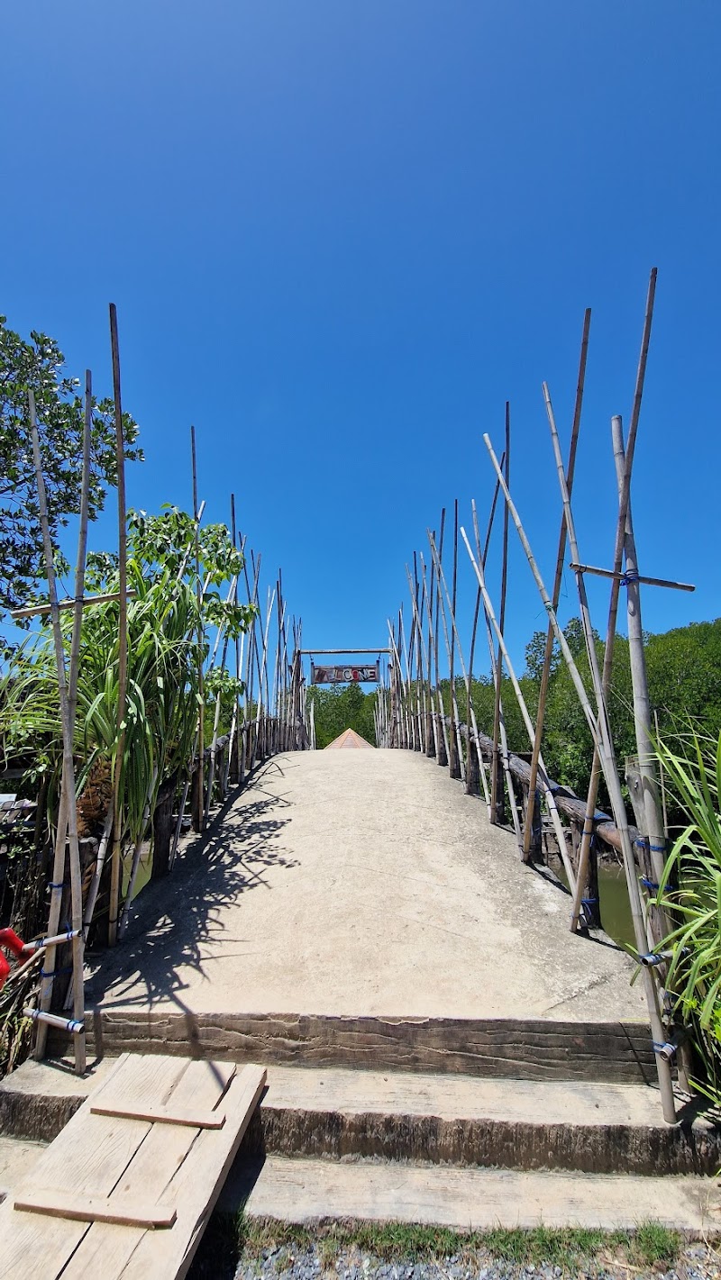 Tung Yee Peng Mangrove Forest Tour
