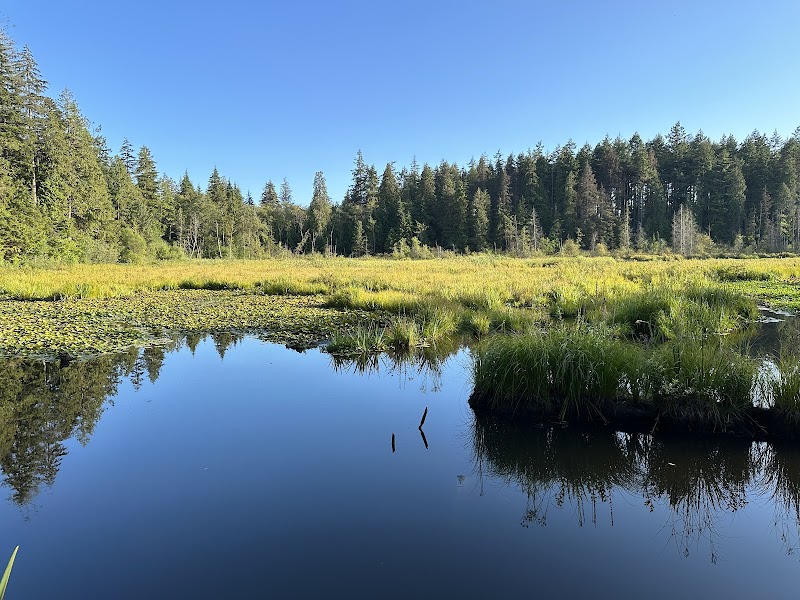 Beaver Lake Trail Picnic Stop