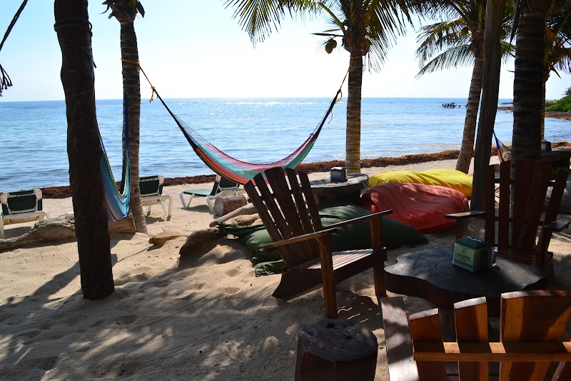 La Buena Vida Restaurant Akumal