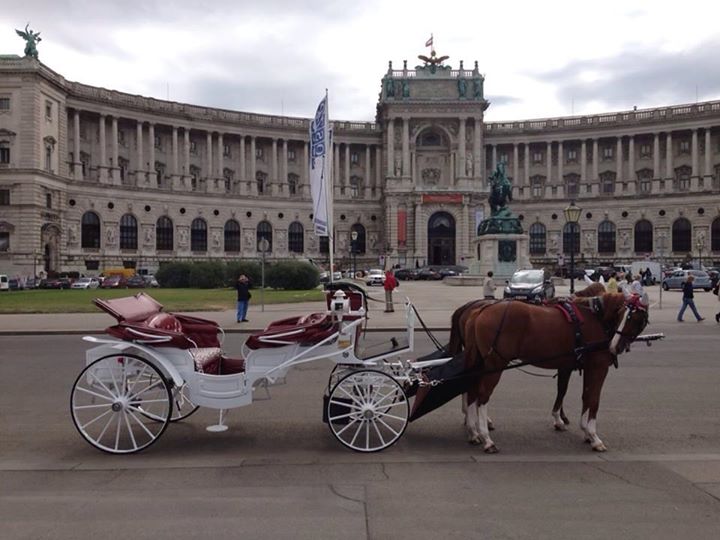 Fiaker Horse-Drawn Carriage Ride