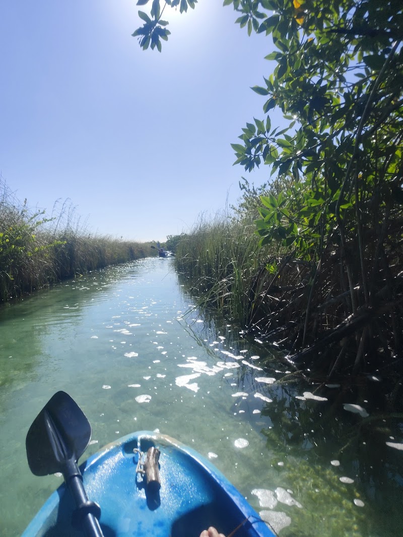 Sian Ka'an Biosphere Reserve Boat Tour with Community Tours Sian Ka'an