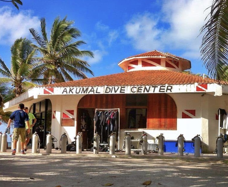 Akumal Bay Snorkeling with Akumal Dive Center