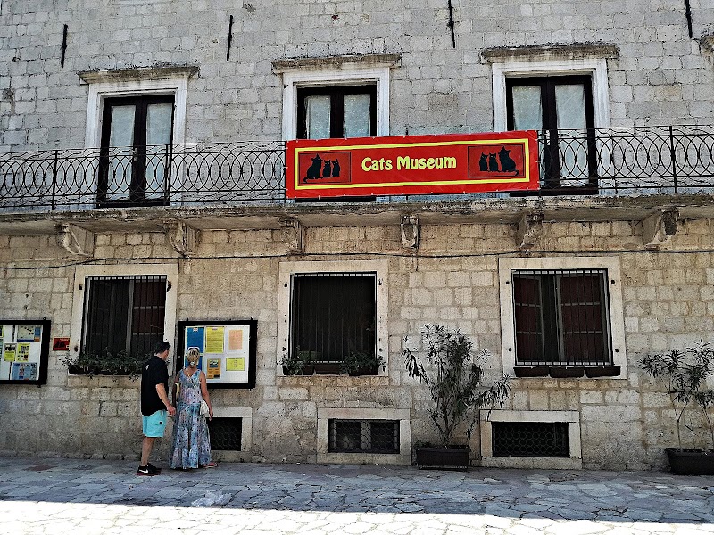 Cats of Kotor Museum