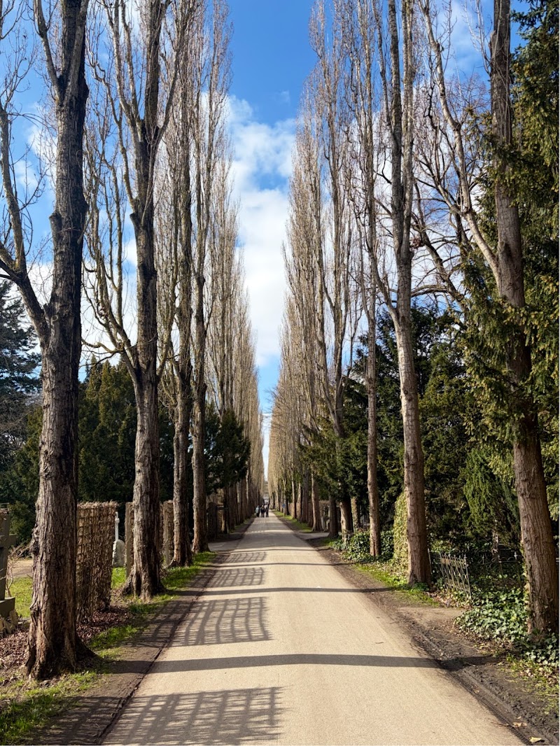 Assistens Cemetery