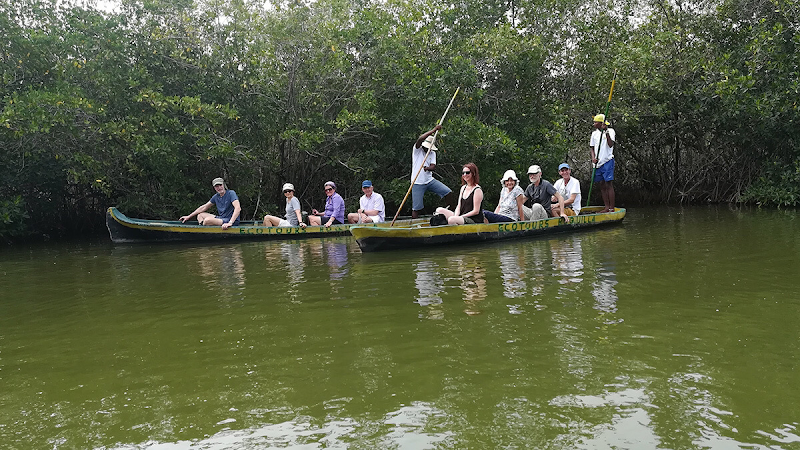 Kayaking Through the La Boquilla Mangroves