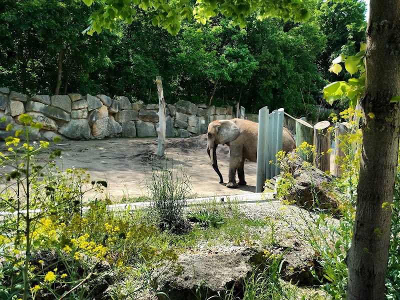 Schonbrunn Zoo (Tiergarten Schonbrunn)