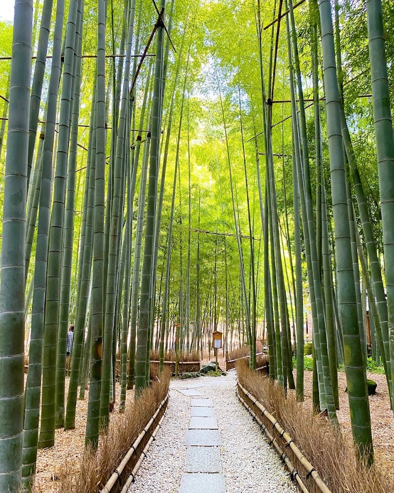 Hokoku-ji Temple (Bamboo Temple)