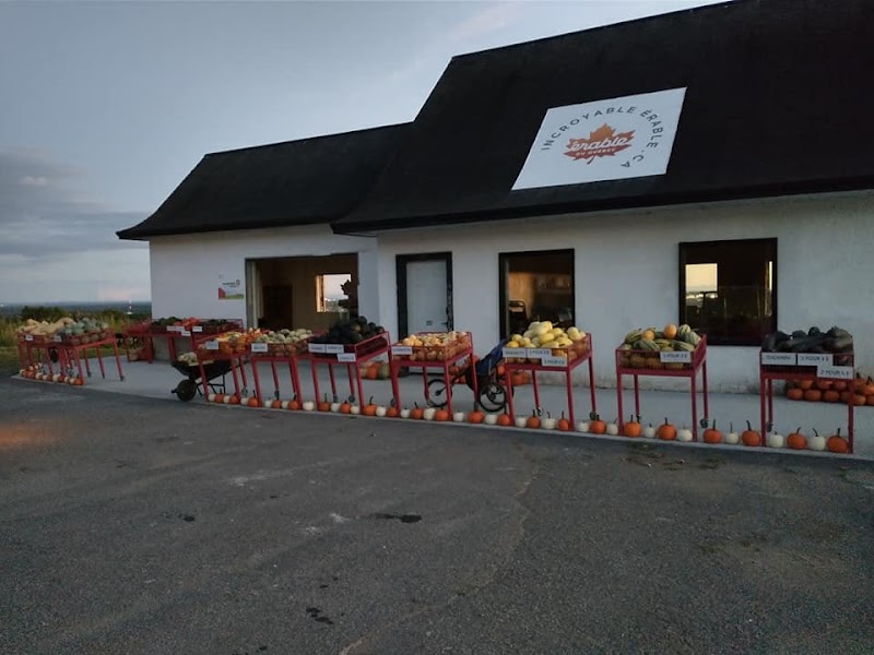 Île d'Orléans Bridge and Roadside Farm Stands
