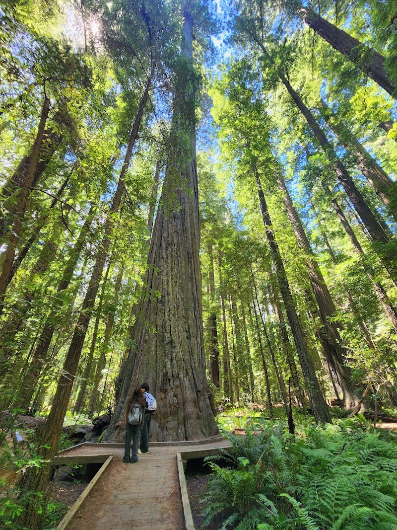 Founders Grove Loop Trail