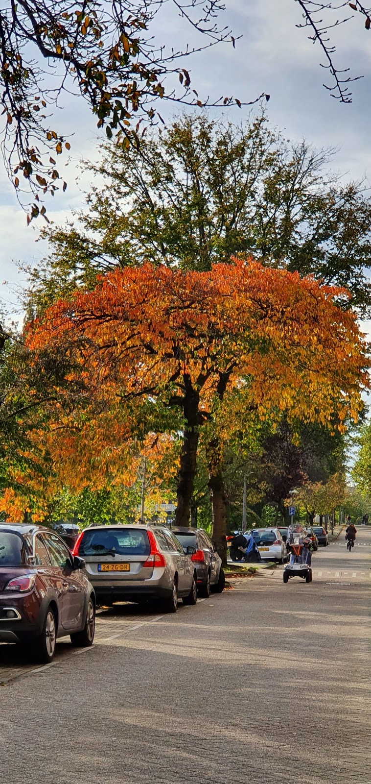 Sarphatipark