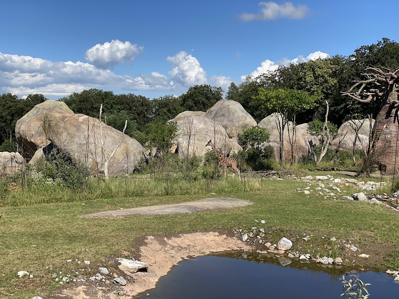 Zoo Restaurant Lewa Savanne