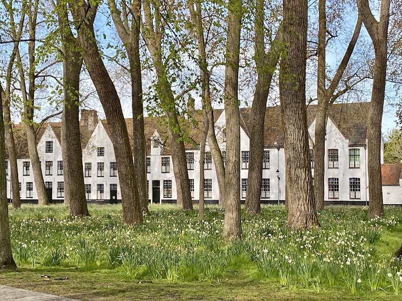 Begijnhof (Princely Beguinage Ten Wijngaerde)