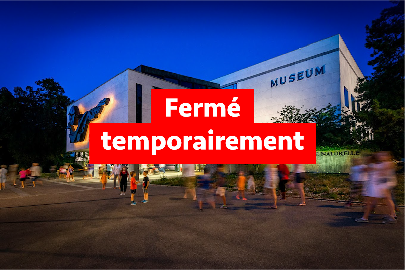 Museum of Natural History Geneva (MHNG)