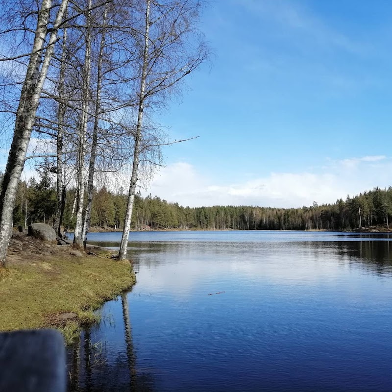 Nordmarka Forest Walk to Sognsvann Lake
