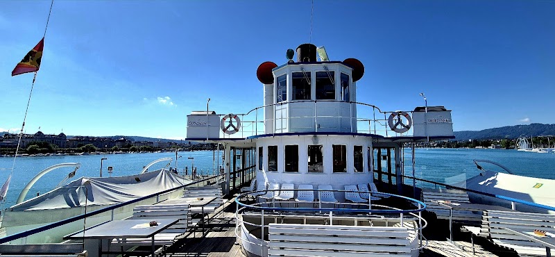 Lake Zurich Boat Tour with ZSG