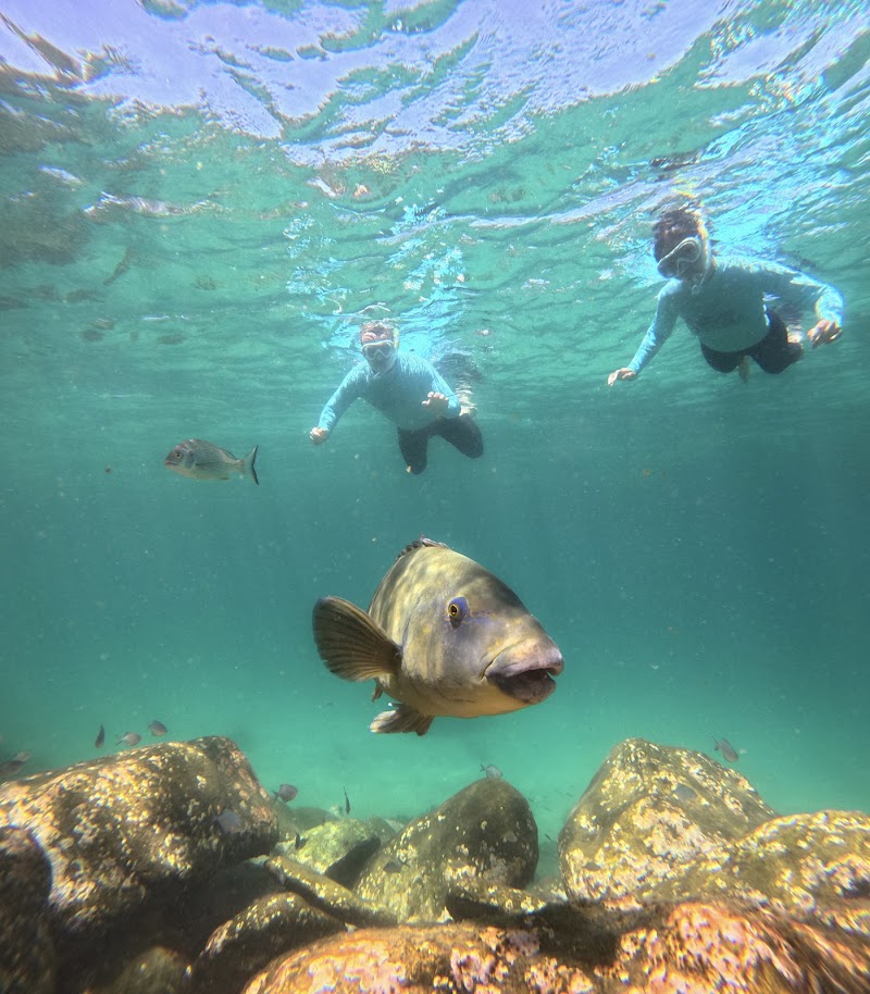 Shelly Beach Snorkel Trail