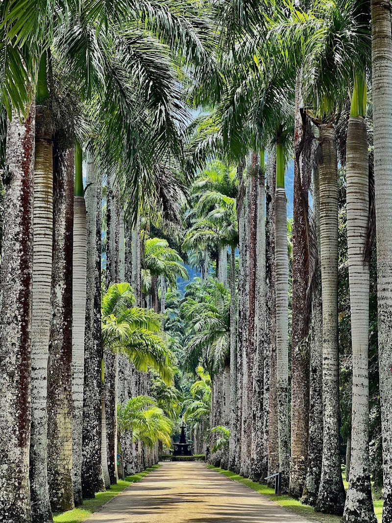 Jardim Botânico do Rio de Janeiro
