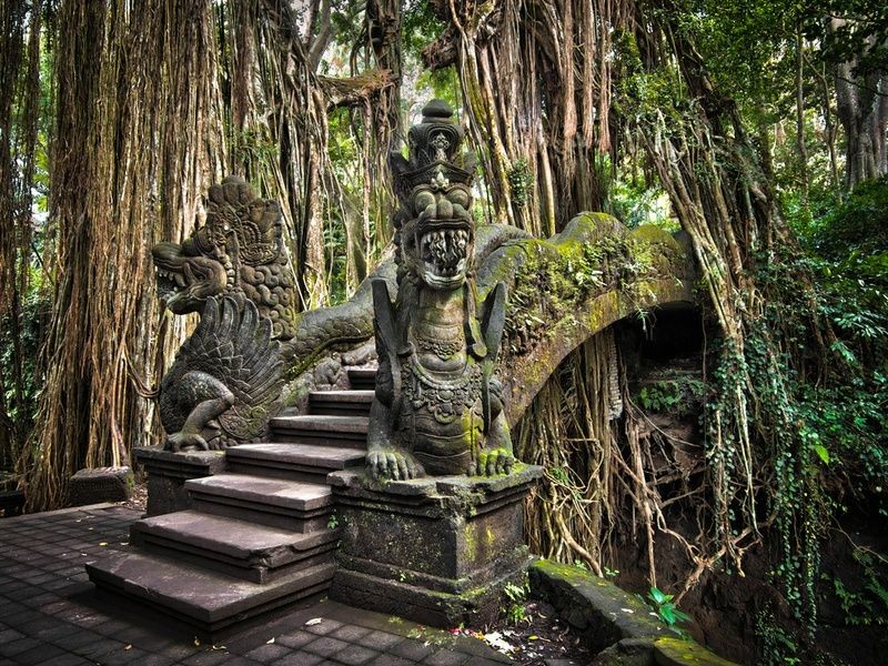 Ubud Monkey Forest (Mandala Suci Wenara Wana)