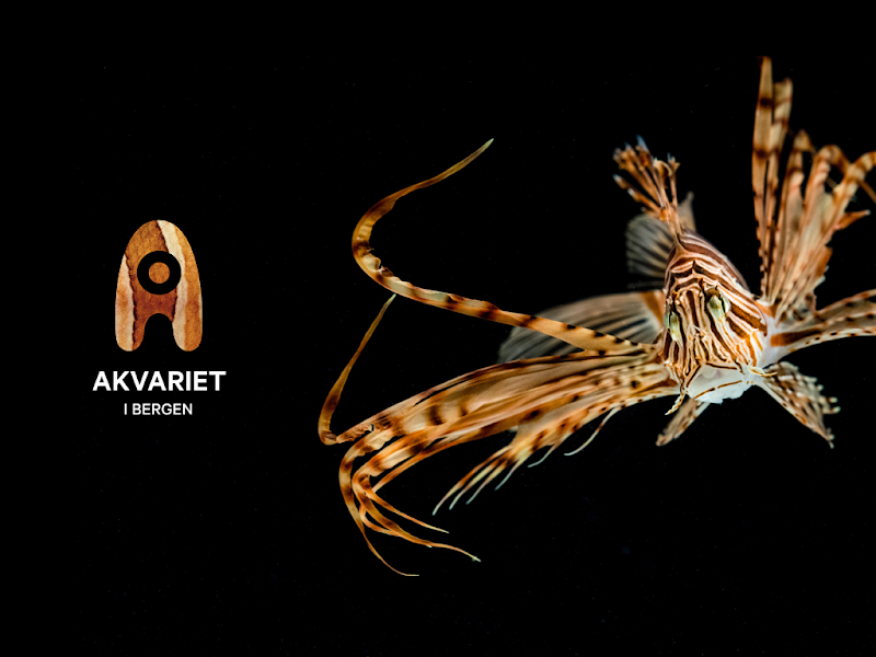 Bergen Aquarium (Akvariet i Bergen)