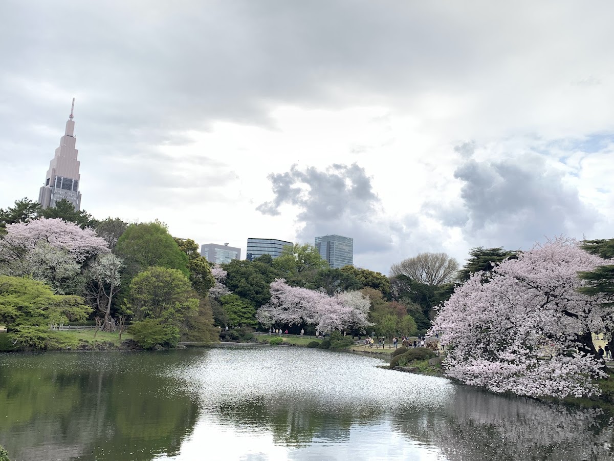 Shinjuku Gyoen National Garden (新宿御苑) – Outer Bench Area near Sendagaya Gate